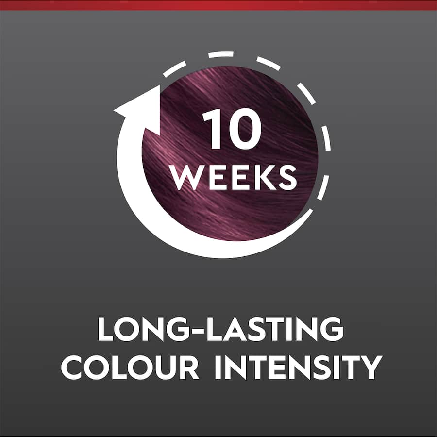 Schwarzkopf Brilliance Hair Colour 23 Burgundy Chic 1pack