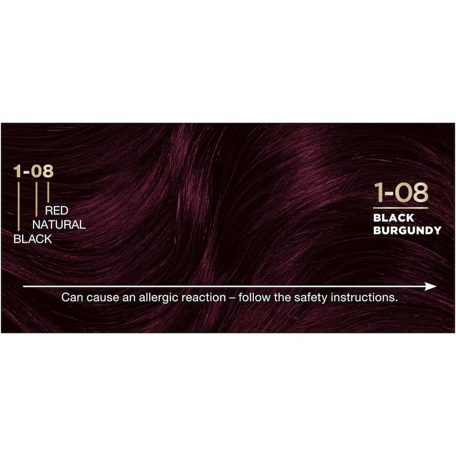 Napro Palette Hair Colour Burgundy Black 1-08 1pack