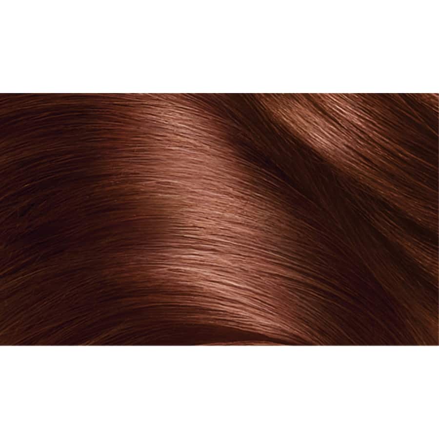 Loreal Excellence Hair Colour Mahogany Brown 5.5