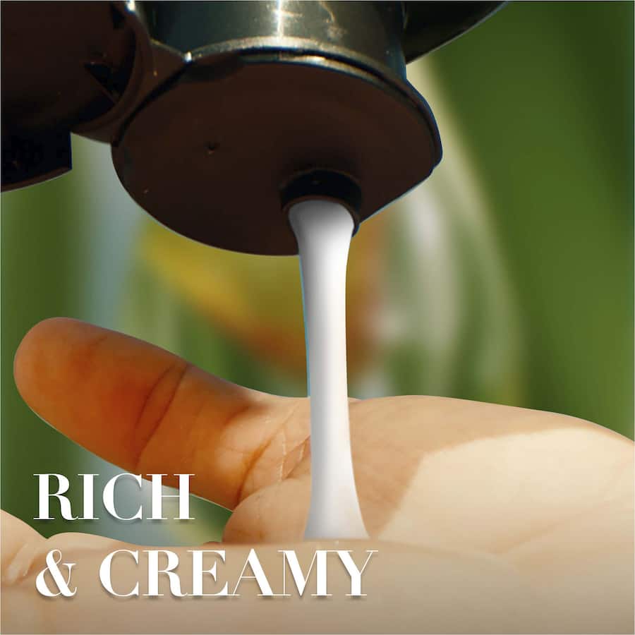 Herbal Essences Bio:renew Hydrating Shampoo Coconut Milk 400mL