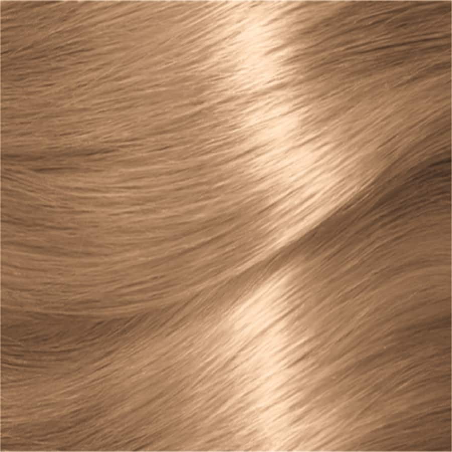 Garnier Nutrisse Hair Colour Medium Ash Blonde 8.13 1pack
