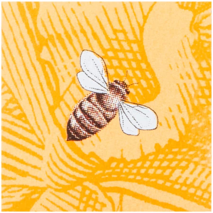 Burts Bees Lip Balm Vanilla Bean 4.25g