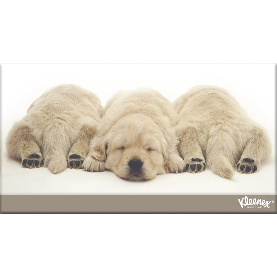 Kleenex Tissues White Box 250pack (SMARTFOX)