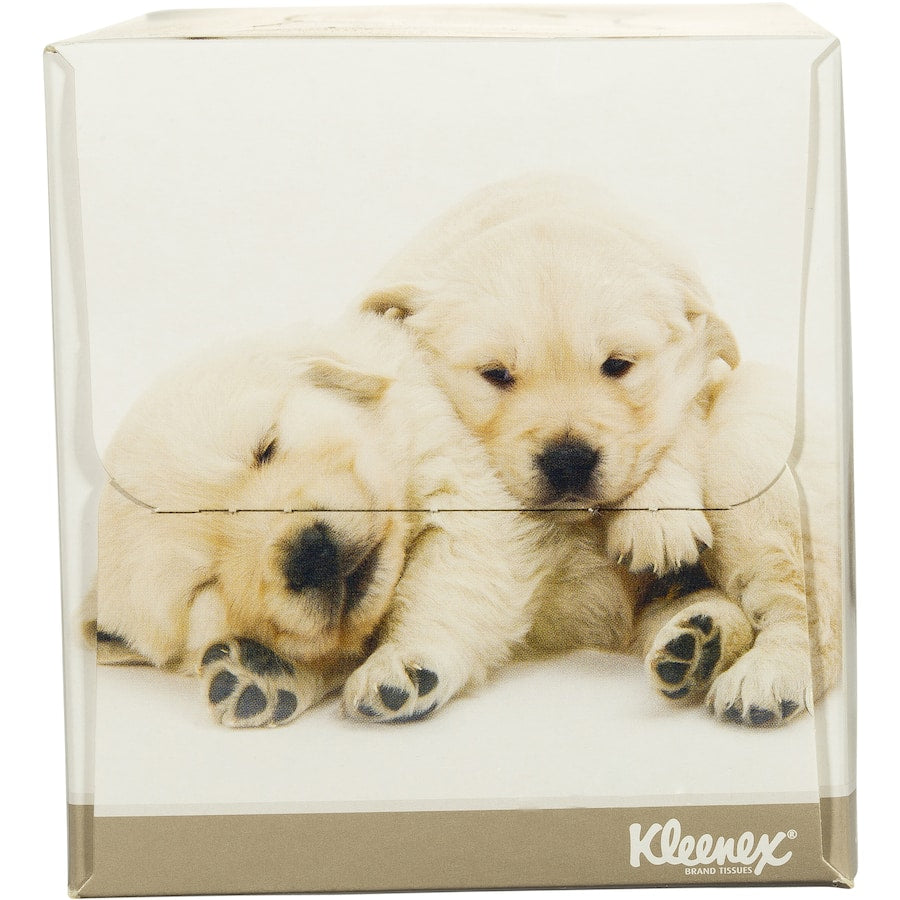 Kleenex Tissues White Box 250pack (SMARTFOX)