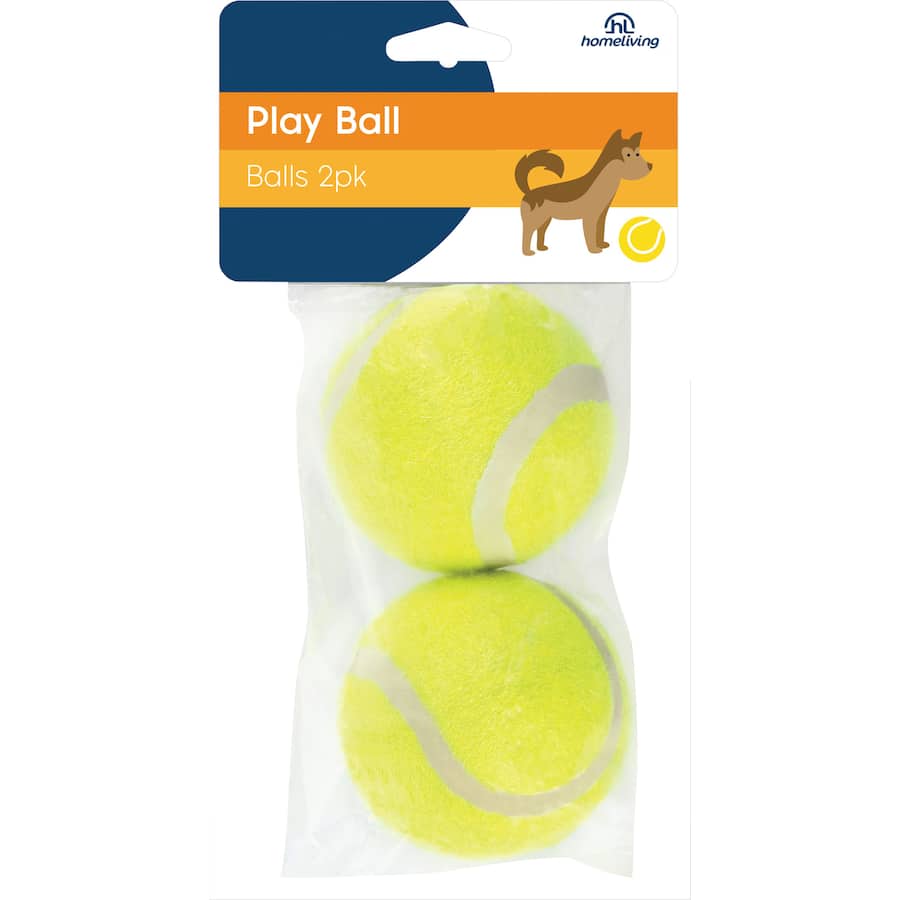 Homeliving Play Balls 2pack