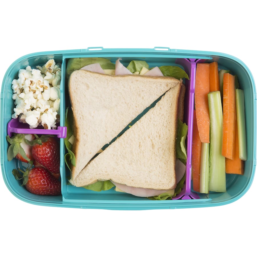 Decor Go Lunch Box Bento 2L