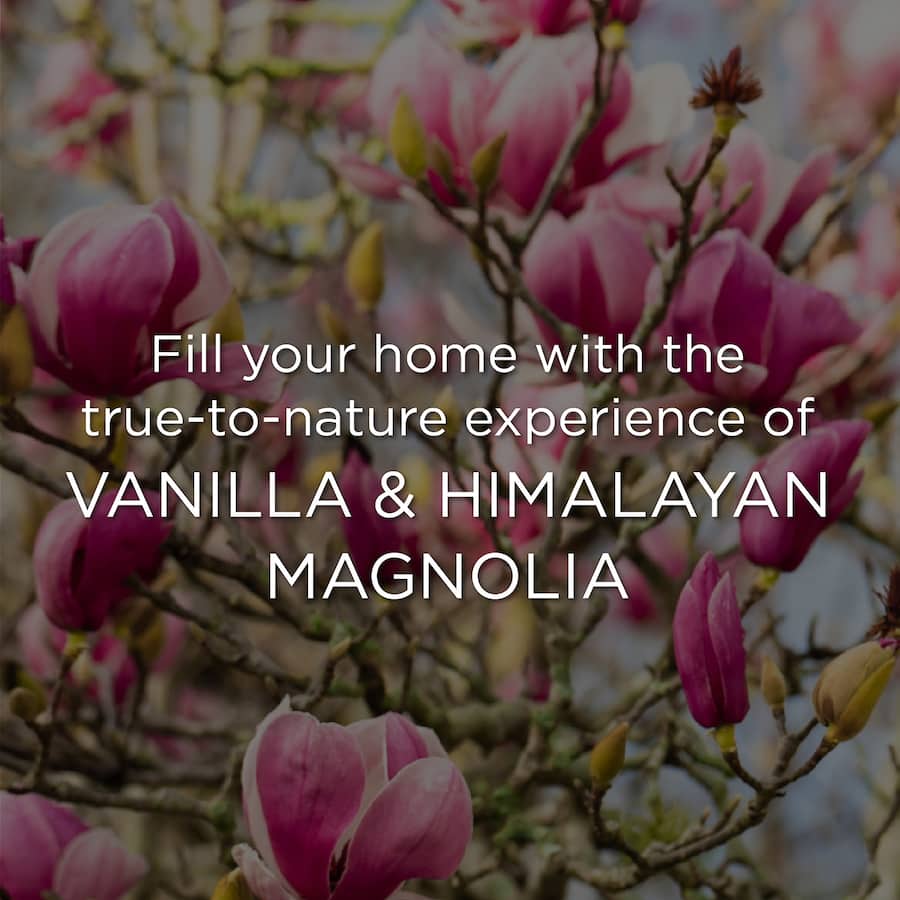 Air Wick Botanica Scented Candle Vanilla & Himalaya Magnolia 205g Each