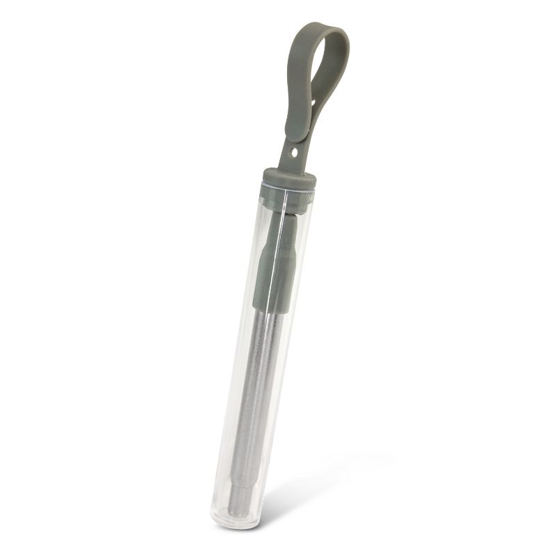 Telescopic Straw with Case - Grey (Set of 5)