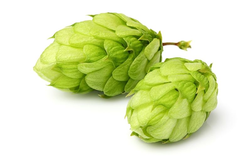 Beer Making Hop Pellets - Mangrove Jack's USA Centennial (100g)