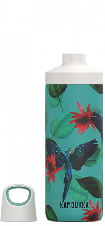Insulated-Bottle-Reno-SS-Parrots-500ml