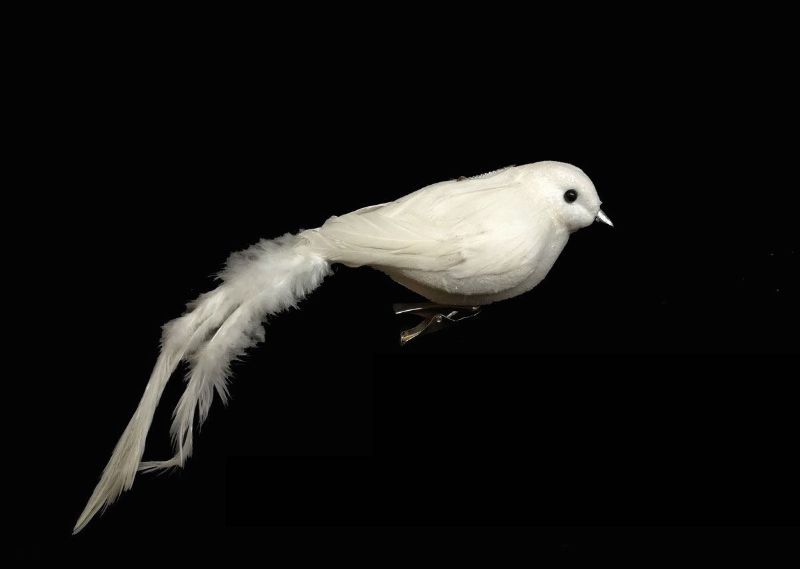 Ornament - Long Tail Dove (White)