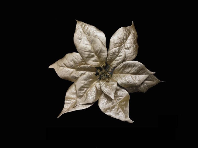 Artificial Poinsettia Head On Pick (Gold)