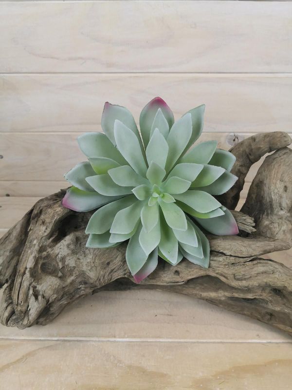 Artificial Grey Diamond Succulent - Large (16cm)