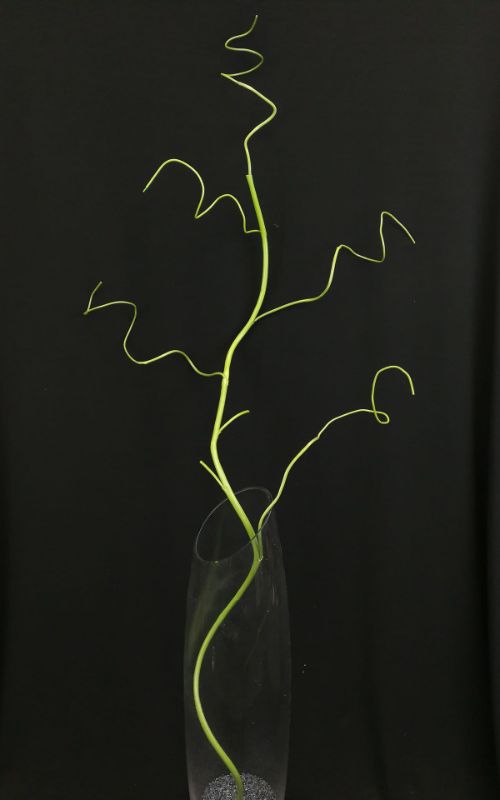 Twig Branch (Green)