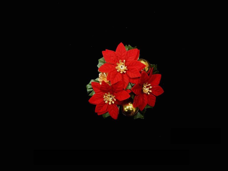 Red Poinsettia Candle Ring (3")