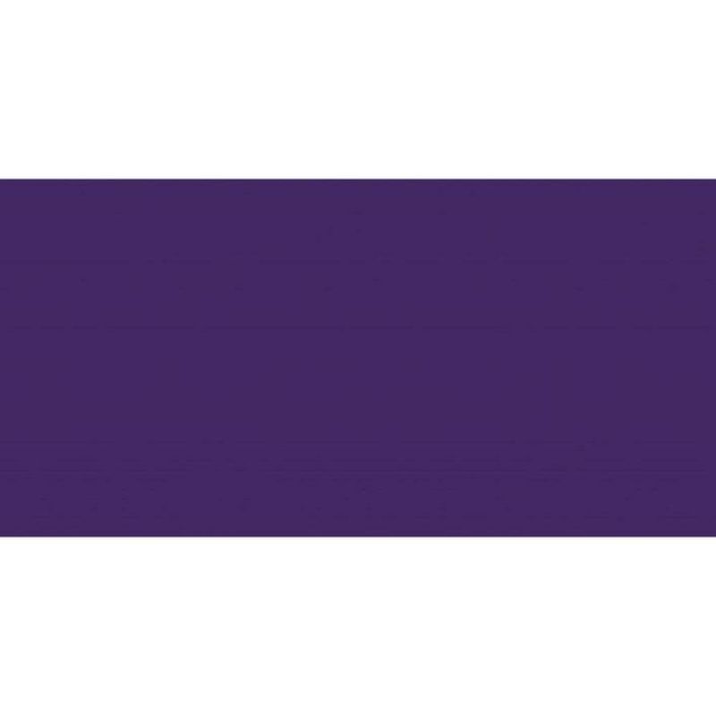 JACQUARD PINATA ALCOHOL INK 14.79ML - PASSION PURPLE 013