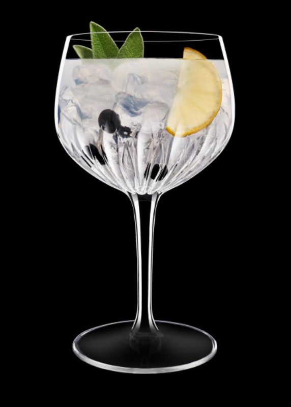 Set of 4 Luigi Bormioli Mixology Spanish Gin Goblets, lead-free crystal with elegant embossed design for cocktails.