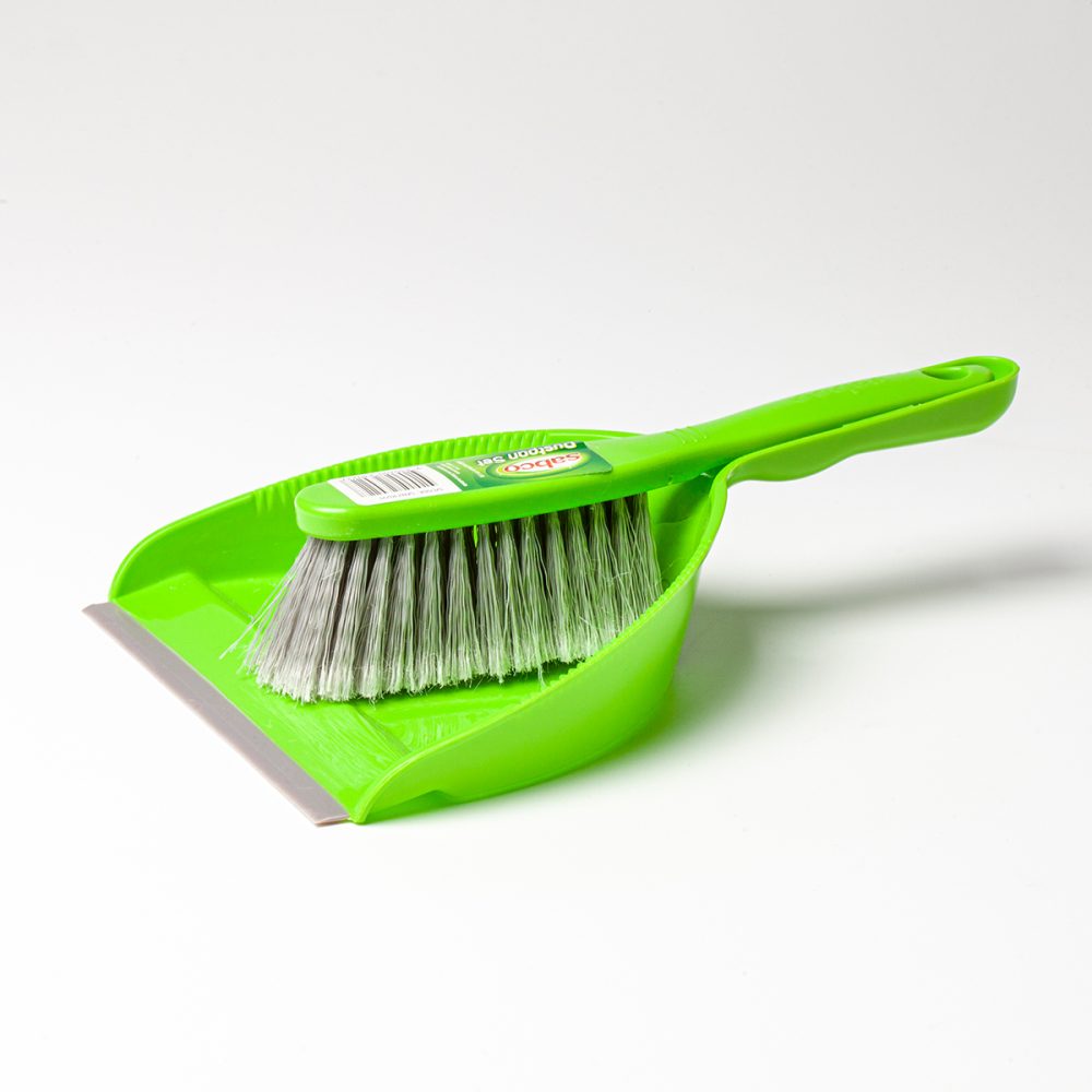 Brush and Pan set