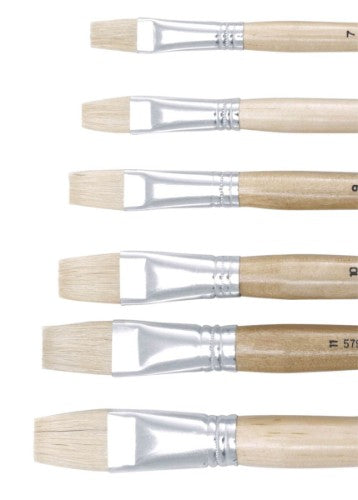 Jasart Hog Bristle Series 579 Flat Brushes - Size 1
