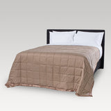 DreamGreen Oasis Deluxe Blanket Taupe - Queen