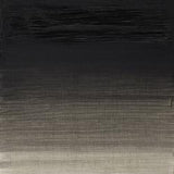 Winsor & Newton Artists' Oil Colour 37ml - Charcoal Grey (142)