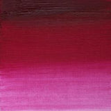 Winsor & Newton Artists' Oil Colour 37ml - Permanent Magenta (489)