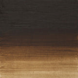 Winsor & Newton Artists' Oil Colour 37ml - Raw Umber (554)