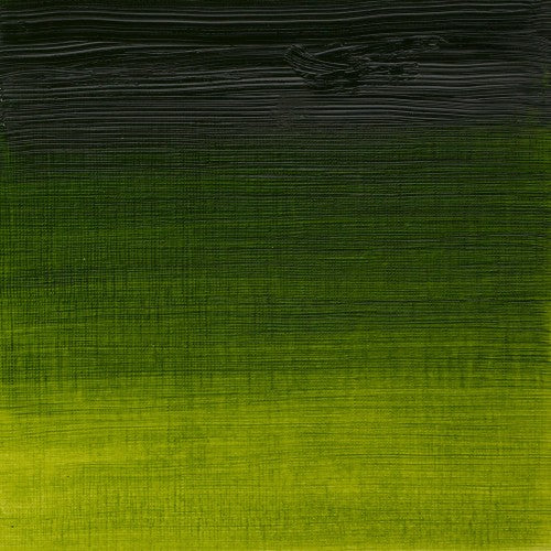 Winsor & Newton Artists' Oil Colour 37ml - Sap Green (599)