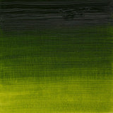 Winsor & Newton Artists' Oil Colour 37ml - Sap Green (599)