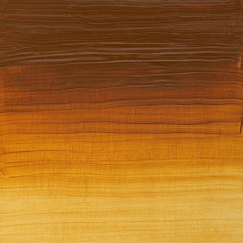 Winsor & Newton Artists' Oil Colour 37ml - Transparent Gold Ochre (646)