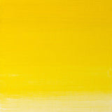 Winsor & Newton Artists' Oil Colour 37ml - Winsor Yellow (730)