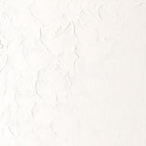 Winsor & Newton Winton Oil Colour 200ml - Titanium White (644)