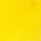 Winsor & Newton Winton Oil Colour 200ml - Cadmium Lemon Hue (087)