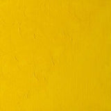 Winsor & Newton Winton Oil Colour 200ml - Cadmium Yellow Pale Hue (119)
