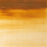 Winsor & Newton Winton Oil Colour 200ml - Raw Sienna (552)
