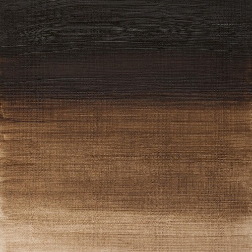 Winsor & Newton Winton Oil Colour 200ml - Raw Umber (554)