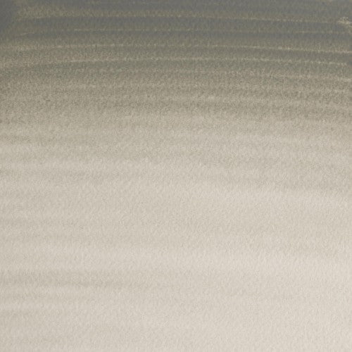 Winsor & Newton Professional Water Colour 5ml - Davy's Gray (217)
