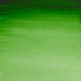 Winsor & Newton Professional Water Colour Half Pan - Hooker's Green (311)