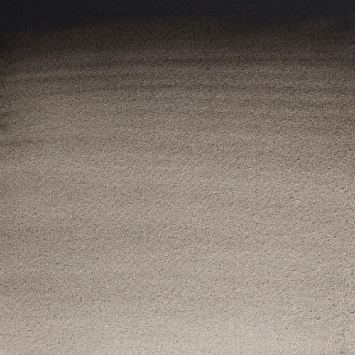 Winsor & Newton Professional Water Colour Half Pan - Ivory Black (331)