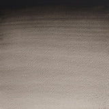 Winsor & Newton Professional Water Colour Half Pan - Ivory Black (331)