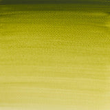 Winsor & Newton Professional Water Colour Half Pan - Olive Green (447)