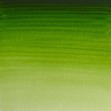 Winsor & Newton Professional Water Colour 5ml - Permanent Sap Green (503)