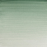Winsor & Newton Professional Water Colour 5ml - Terre Verte (637)