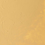 Winsor & Newton Griffin Alkyd Oil Colour 37ml - Naples Yellow Hue (422)
