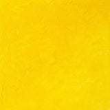 Winsor & Newton Griffin Alkyd Oil Colour 37ml - Cadmium Yellow Light Hue (119)