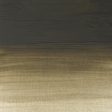 Winsor & Newton Griffin Alkyd Oil Colour 37ml - Davy's Gray (217)