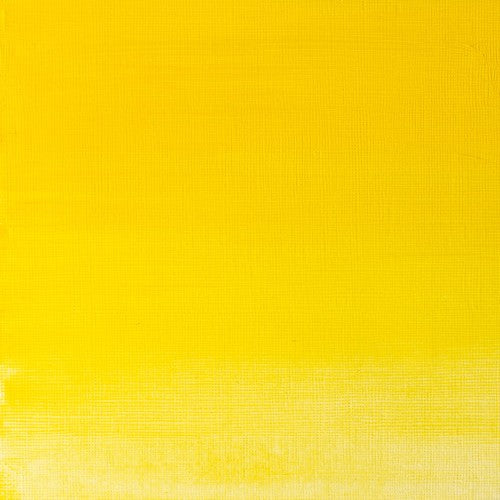 Winsor & Newton Griffin Alkyd Oil Colour 37ml - Winsor Yellow (730)