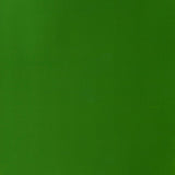 Winsor & Newton Designers' Gouache Colour 14ml - Sap Green (599)