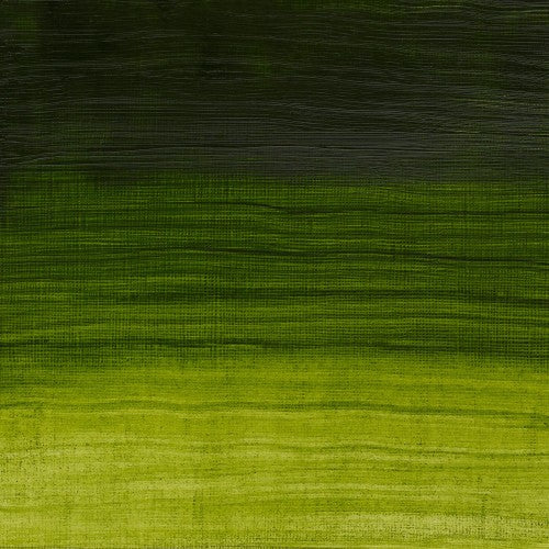Winsor & Newton Oil Colour 37ml - Permanent Sap Green (503)
