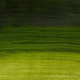 Winsor & Newton Oil Colour 37ml - Permanent Sap Green (503)